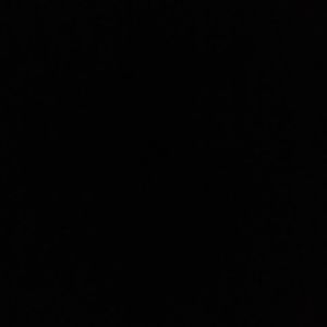 Meet your Posher, Otto